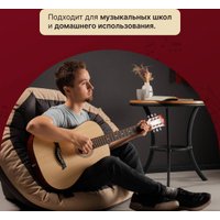 Акустическая гитара ROKSO FT-C-B39-N