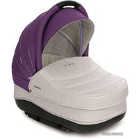 Универсальная коляска Verdi Zipy