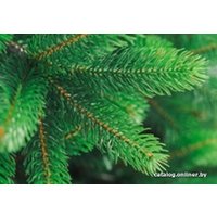 Ель Бифорес Премиум Микс (2.2 м, светло-зеленый)