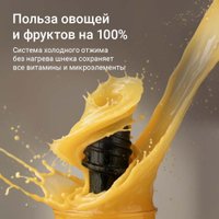 Соковыжималка Redmond (Редмонд) J1420