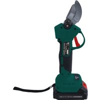 Секатор Favourite OBS 21 PPR32 (с 1-им АКБ)