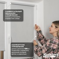 Рулонные шторы Sundays Home Санскрин SS 1300-03 90х160 (серый)