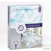 2-спальный комплект постельного белья АртПостель Бамбуковая роща 904 (2-спальный)