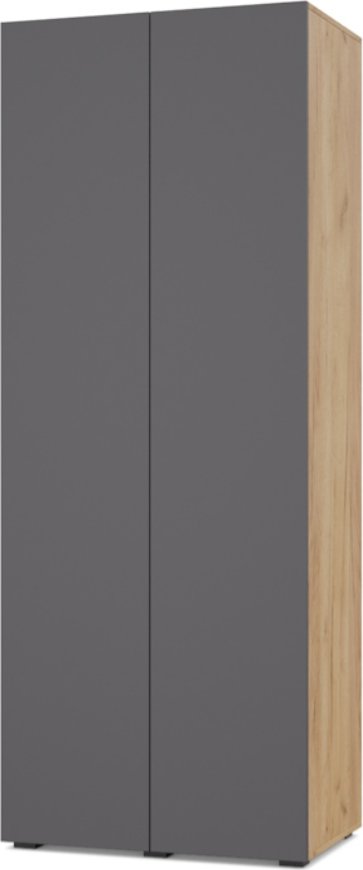 

Шкаф распашной Modern Челси Ч20 (золотой дуб/графит)