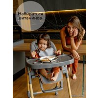 Высокий стульчик Amarobaby Elegant AB23-23EL/11 (серый)