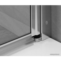 Душевая дверь Radaway Eos DWS 120 L