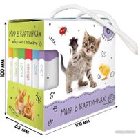 Набор книг издательства Malamalama Шоубокс. Мир в картинках