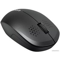 Мышь Canyon MW-04 (черный)