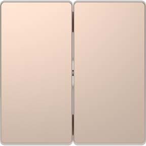 

Клавиша для выключателя Schneider Electric Merten D-Life MTN3400-6051 (шампань)
