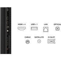 MiniLED телевизор TCL 50MQLED75K