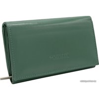 Портмоне Cedar 4U Cavaldi RD-21-GCL (черный)