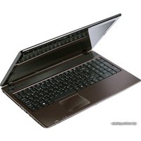 Ноутбук Acer Aspire 5336-T352G25Mikk (LX.R4G08.002)