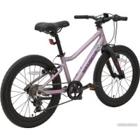 Детский велосипед Maxiscoo 5Bike 20 L 2024 (розовый сапфир)