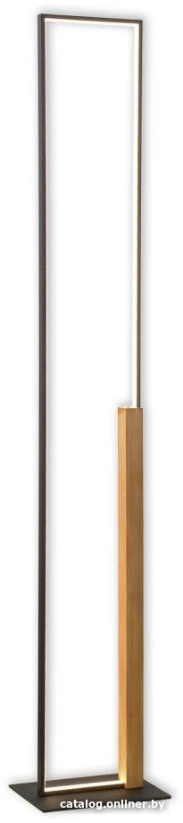 Торшер Lussole Modesto LSP-0906