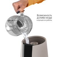 Увлажнитель воздуха Endever Oasis-250