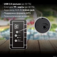 Радиоприемник Hyundai H-SRS103