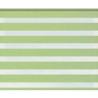 Шторы день-ночь Jalux День-Ночь Софт bh 1807 105x160 (фисташковый)