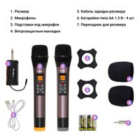 Радиосистема Tesler WMS-740