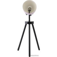 Настольная лампа Bergenson Bjorn Bjorn Anniken BB0000181 (черный/белый/лиловый)