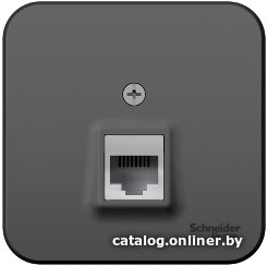 Розетка компьютерная Schneider Electric Blanca BLNIA045006