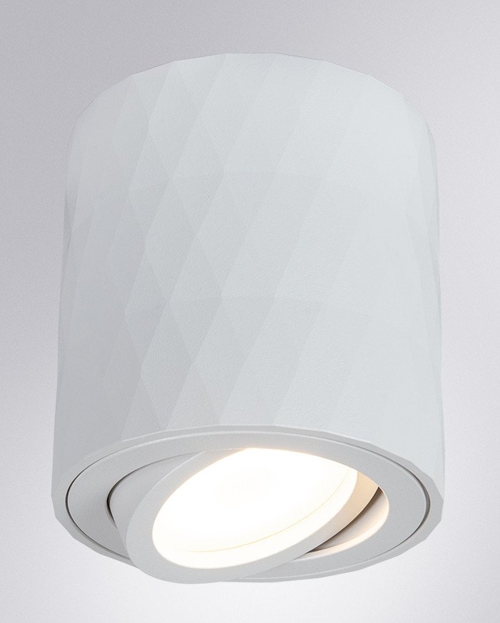 

Точечный светильник Arte Lamp Fang A5559PL-1WH