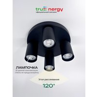 Припотолочная люстра TruEnergy 21492