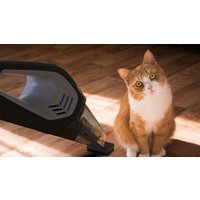 Автомобильный пылесос Ritmix CVC-008