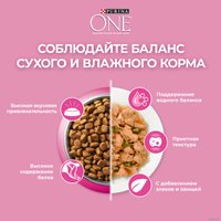 Сухой корм для кошек Purina ONE для котят с курицей и цельными злаками 200 г в Бобруйске
