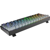 Клавиатура Redragon Fizz RT