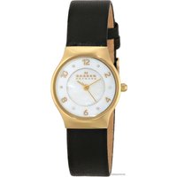 Наручные часы Skagen SKW2209