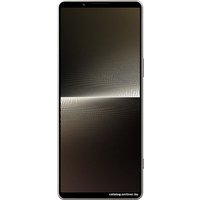 Телефон Sony Xperia 1 V XQ-DQ72 12GB/512GB (платиновое серебро)