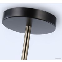 Припотолочная люстра Ambrella light Traditional TR8225/2 BK/SB