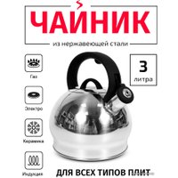 Чайник со свистком TimA WTK250