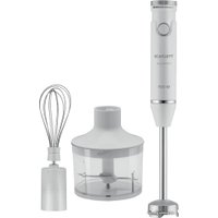 Погружной блендер Scarlett SC-HB42F91 в Гомеле