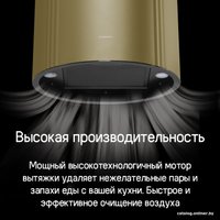 Кухонная вытяжка MAUNFELD Lee Side 397 (черный)