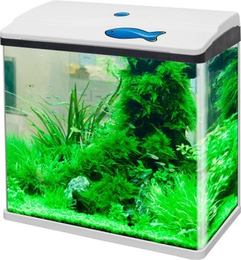 Аквариум Silver Berg Standart 30 л (белый)