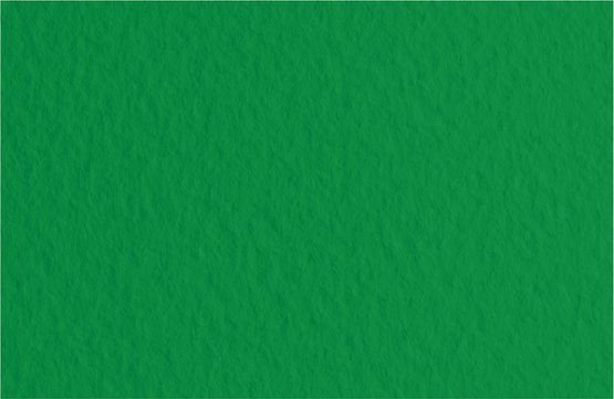 

Бумага для сухих техник Невская палитра Мастер-Класс А3 275452456 (20 л, зеленый)