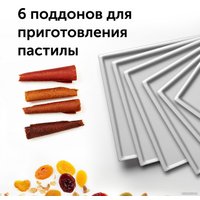 Сушилка для овощей и фруктов RED Solution RFD-0151