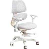 Компьютерное кресло ErgoSmart Antey (серый) в Бобруйске