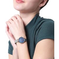 Наручные часы Skagen Anita SKW2862