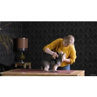 Машинка для стрижки  Moser 1406-0076