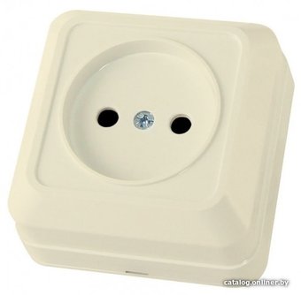 Розетка TDM Electric Ладога SQ1801-0210