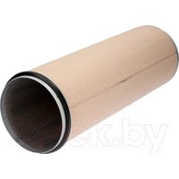 Воздушный фильтр Donaldson P781351 в Могилеве