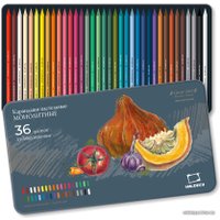 Набор пастельных карандашей Малевичъ GrafArt 810023 (36 цветов)
