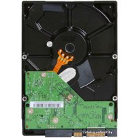 Жесткий диск WD AV-GP 500GB (WD5000AVDS)