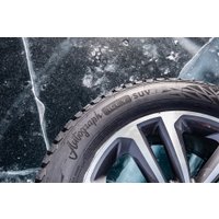 Зимние шины Ikon Tyres Autograph Ice 9 SUV 245/50R20 105T XL (шипы)