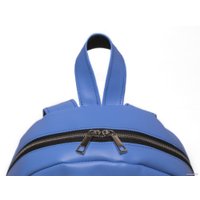 Городской рюкзак Зубрава Леди Вишня РВИШ (голубой)