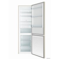 Холодильник Candy CCRN 6200C