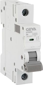 

Выключатель автоматический GEYA GYM9H-1P-6B 1P 6A B 10kA 1M GYM9H1P6B