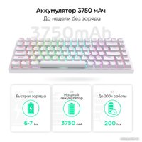 Клавиатура Royal Kludge RK84 RGB (белый, RK Red)